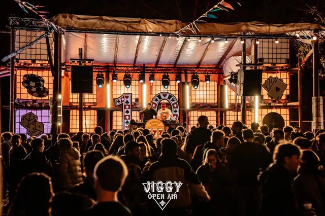 Crowd in front of the Jiggy Open Air stage at night